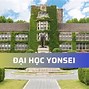 Đồng Phục Trường Yonsei