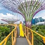 Giới Thiệu Đến Khách Du Lịch Ở Singapore