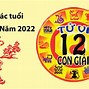 Năm 2022 Năm Con Gì